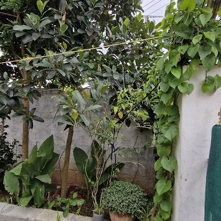 Malgudi Mane Homestay Chikmagalūr Exterior foto