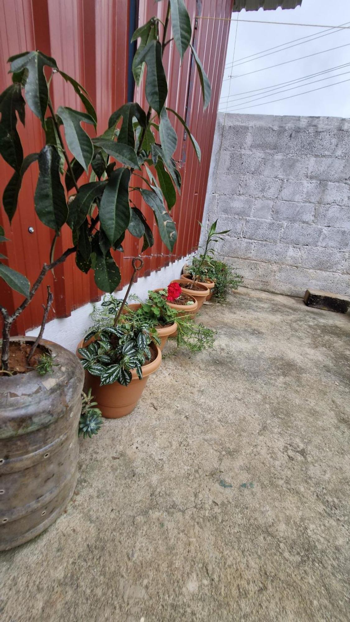 Malgudi Mane Homestay Chikmagalūr Exterior foto