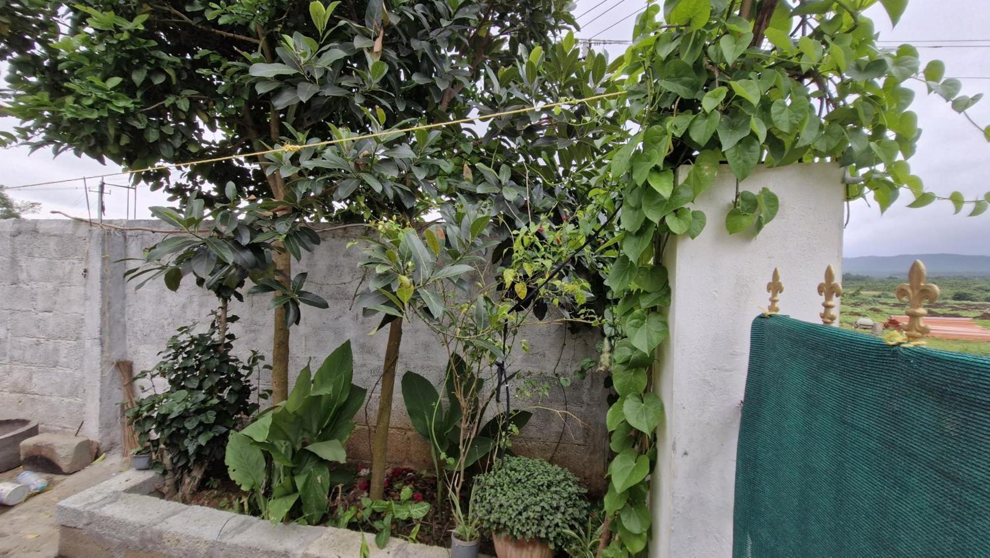 Malgudi Mane Homestay Chikmagalūr Exterior foto